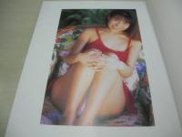 水谷優衣 写真集　MIZUTANI YUI　1995年04月28日発行　リイド社　※画像の様に上部に赤線引き跡出ています。