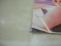 BONNOU　VOL.13　ボンノウ　デラべっぴん増刊　1994年04月10日発行　藤谷しおり　上條うらら　杉本ゆみか　沢村麻里　角松かのり　飯島恋　高倉みなみ　氷高小夜　青木詩央里　かとう由梨　真田美伽　※画像の様に巻中頁下隅に折れ跡出ています。