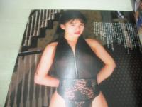 BOYES　NO.5　ボーイズ　Beppin増刊　1993年02月20日発行　山崎真由美 表紙　小峰佳世　森下あみい　斎藤あかね　五十嵐こずえ　藤林ゆかり　早川由起子　※画像の様に背部分に痛み出ています。　　