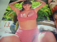 BOYES　NO.30　ボーイズ　Beppin増刊　1995年05月20日発行　沢知かな 表紙　森川久美　金澤あかね　藤森加奈子　有賀みほ　会沢志乃+梨乃　水沢麻美　浜田ルミ　佐藤江里　憂木瞳