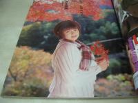 EX sister　VOL.6　エクシスター　デラべっぴん増刊　1992年01月20日発行　鈴木真由美+小沼由美 表紙　吉永里美　岩瀬マリ　沢田夏子+沢口梨々子　相沢なほこ　田代美緒　朝岡実嶺　水沢あのん　山室千代子　森川いづみ　伊藤真紀　五十嵐こずえ　美崎優衣　