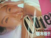 VENUS　VOL.2　ヴィーナス　イケイケ課長増刊号　1994年04月25日発行　ぶんか社　田村美保 表紙+巻頭グラビア　千葉千恵巳　安藤有里　麻生真宮子　大原真琴　沢木まちこ　立原貴美　坂木優子　桜っ子クラブ　風吹あんな　水沢早紀　成瀬千里