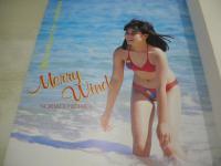 日高のり子　写真集　Merry Wind　ジ・アニメ特別編集　1986年10月01日発行　初版本　 近代映画社　※画像の様に裏表紙側面に汚れ出ています。