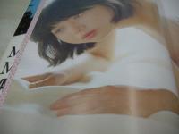 青春カタログ　1981年04月号　現代新社　白石まるみ 表紙+グラビア　松本安岐子　田中好子(インタビュー記事)　鹿取洋子　石川ひとみ　劇画:外道衆/清水おさむ　キャンパスマンガ特集/中央大学・漫研篇/がもう晴夫　2年A組ミス・モンロー/西森ゆき子　寺島まゆみのなんでも相談　卒業します・女子高生写真集