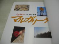 森下千里　GALS PARADAISE写真集　マルガリータ　2001年11月01日発行　三栄書房