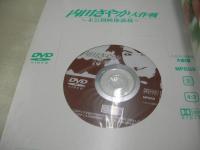 内田さやか　DVD SAND増刊　内田さやか大作戦　未開封DVD付　2002年03月01日発行　ジーオーティー
