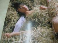 Waffle SUPER COLLECTION VOL.5　ワッフルスーパーコレクション　1999年08月22日発行　ぶんか社　谷口ともみ 表紙+巻頭グラビア　久保亜沙香　姫嶋菜穂子　島田美実佳　小野田優美　高樹美貴　西崎華子　石井里穂　杉本千鶴　etc