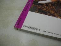 Waffle SUPER COLLECTION VOL.4　ワッフルスーパーコレクション　1999年04月23日発行　ぶんか社　升水美奈子 表紙　白川万里　太田留里　鈴川絵里子　石川里穂　谷津しのぶ　山内美穂子　幸田奈美　坂倉由里子　岡本ひかり　金子志乃　今井さちこ　秋野ひとみ　相川みさお　※画像の様に底部に赤線引き出ています。