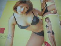 RQ Press　レースクイーンプレス　2002年01月26日発行　ケイブンシャ　内田亜紗子　加藤恵美　朝倉ひさみ　小川亜希　西野むつみ　/山木まこ　玉城珠里　日向美穂　森下千里　牛川とこ　堀口としみ　石井あつき　菅谷はつ乃　西尾祐里　福田有美　etc　※画像の様に底部に赤線引き跡出ています。
