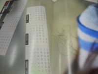 LOVE☆GIRLS　2009年!注目の美少女50　STUDIO VOICE別冊　2008年12月15日発行　谷村美月 表紙　ポスター付　前田敦子　桜庭ななみ　逢沢りな　佐々木希　福田萌　桐島里菜　志田未来　南明奈　波瑠　