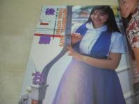 美少女パラダイス スペシャル　アクションハイスクール増刊号　1993年02月15日発行　桃園書房　後藤ちま　滝口あさ美　平美貴　畑野さゆり　花園りお　白都彩香　野坂なつみ　稀崎優　大伴梨奈　森田美麗　美樹あゆみ　今泉聖子　藤岡美玖　※画像の様に底部に赤線引き跡出ています。
