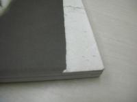 沢口靖子　写真集　デガジェ　1993年11月15日発行　初版本　扶桑社　※画像の様に表紙カバー裏面に黄ばみ汚れ、上部に痛み出ています。