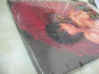 稲田千花　写真集　共犯　1998年01月01日発行　初版本　ぶんか社　※画像の様に未開封品でしたが、撮影の為開封しました。