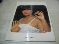 榊原郁恵　パンフレット　Tropical Lady Ikue Sakakibara　36P　フルカラー　ホリプロダクション
