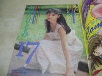 熱烈投稿　1987年11月号　山岸ひとみ 表紙+グラビア　松本典子　山瀬まみ　伊藤智恵理　水谷麻里　本田美奈子　葉山みどり　早瀬まゆ子　染川りお　リリーズ　石川ひとみ　SPINNING Dee Dee　佐久間恭子
