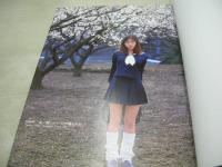 結城つばさ　写真集　HANABI　四季の花火　美少女プライベートコレクションシリーズ2　1998年06月01日発行　バウハウス　※画像の様に上部に赤線引き跡出ています。