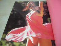 白鳥智恵子　写真集　Rose　撮影:武藤義　1997年05月25日発行　初版本　ぶんか社　※画像の様に底部に赤線引き跡出ています。