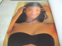 白鳥智恵子　写真集　Rose　撮影:武藤義　1997年05月25日発行　初版本　ぶんか社　※画像の様に底部に赤線引き跡出ています。