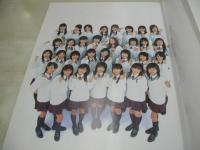 美少女クラブ31 1st Fan Book 依知川絵美 柏木貴代 喜納由梨菜 阪田瑞穂 坂本真里亜 坂巻由里亜 原幹恵 中村静香 安良城紅 酒井瑛里 内藤理沙 後藤みゆう etc 2004年10月20日発行 初版本 集英社