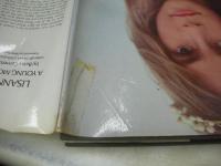 洋書　写真集　LISANNE　A YOUNG MODEL　  Betsy Cameron & Diana Lewis Jewell　1978年発行　※画像の様に表紙カバー上部に破れ折れ、セロテープ補修跡出ています。