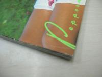 北原えり子　キラッ!と輝く写真集　ペパーミント・ファンタジー　ホットグラフィ増刊　1983年06月20日発行　ミリオン出版　※画像の様に表紙面下隅に痛み出ています。 