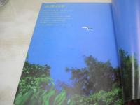 北原えり子　キラッ!と輝く写真集　ペパーミント・ファンタジー　ホットグラフィ増刊　1983年06月20日発行　ミリオン出版　※画像の様に表紙面下隅に痛み出ています。 