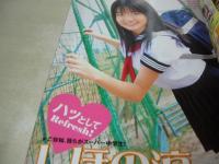 Cream　NO.166　月刊クリーム　2006年05月号　仲村みう 表紙+巻頭グラビア　Cream特製シール付　しほの涼　今井叶美　稲村もと　坂下もえ