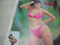 あっぷるず　投稿写真増刊　1990年09月05日発行　木内裕子+折原早織　岡村優　相沢なほこ　虹可奈子　織田まりん　夏川さとみ　樫木京子+小川保奈美+直井美紀+篠崎かおり+村上美穂　小川瞳　西田あかり　中野みゆき　いとうしいな　※画像の様にホッチキスに錆出ています。