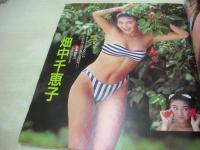 あっぷるず　投稿写真増刊　1991年01月05日発行　後藤智美+沢田奈緒　畑中千恵子　菊池美保　田村英里子　小谷尚美　松岡宇世　早匂みずき　楠本みいな　川原琴美　中村綾　礼森加恋　秋山エミ　浜口真理+石野みゆき+田村陸月+伊藤美咲+鷲見久美子　※画像の様に裏表紙隅に折れ跡出ています。