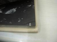 洋書　BOYS will be Boys!  A Photographic Essay　GEORGES ST. MARTIN AND RONALD C.NELSON　1966 Book Horizons, Inc.　※画像の様に側面に染み跡、巻中上隅に痛み出ています。 表紙面保護、パラフィン紙側面に破れ出ています。　
