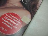 洋書　スペイン語メキシコ版　GOLDEN　PENTHOUSE　PARA EL HOMBRE INTERNACIONAL　ペントハウス　VOL.7　NO.5　TERI 表紙+巻中グラビア