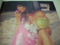 洋書　スペイン語メキシコ版　GOLDEN　PENTHOUSE　PARA EL HOMBRE INTERNACIONAL　ペントハウス　VOL.7　NO.5　TERI 表紙+巻中グラビア