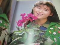 本田美奈子　パンフレット　ファンクラブ限定　ボンド ファミリークラブ　40.5センチ×28センチサイズ