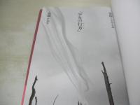 高橋かおり　少女のゆくえ　写真+小説:安珠　1991年11月04日発行　東京書籍