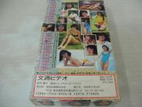 文通ビデオ　Beppin特別増刊　イメージショット　30分　型番:BEV88-04　1989年11月11日発行　販売専用　中古ビデオ　星野陽子　藤沢あや　藤代和希　片桐えり　西條紀子　etc　50名　※画像の様に外箱角に痛み出ています。