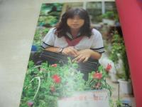 浅見ゆり子　しなやかな十八歳　山脇一郎作品集　1982年07月21日発行　メルヘンムンク　※画像の様に表紙カバー下部波うち、背部分に破れ痛み出ています。
