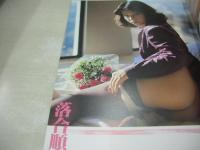 特写　FIGHTING・SCENE　通巻14号　10月号　アリス出版　南川静香 表紙+巻頭＆巻末グラビア　高原なおみ　落合順子　小野寺智子　橋本ひとみ(インタビュー記事)　呼び込み仕掛人奮闘記