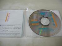 新美少女　VOL.2　笠井玲奈　えだなおみ　あおい未里　イメージショット　57分　品番:HSBI-0002　2001年01月11日発行　販売専用　中古DVD