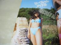 シークレットアイドル　鈴木まりえ+秋野ひとみ　写真集　撮影:藪下修　美少女アルバムVOL.10　2000年01月25日発行　初版本  心交社

