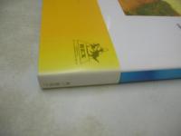 安達祐実　写真集　Fee a 11ans　1993年07月01日発行　初版本　角川書店　※画像の様に背部分に焼け出ています。
