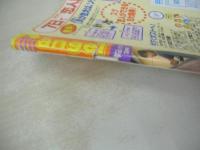 純情エンジェル VOL.115　1998年03月号　蒼竜社　沼尻沙弥香 表紙+巻頭グラビア　大原ひかる　丸山ちはる　佐野彩子＆井上麻衣　柳里美　観月洋美　根本敬/盛りついてこのォ!投票