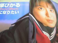 純情エンジェル VOL.115　1998年03月号　蒼竜社　沼尻沙弥香 表紙+巻頭グラビア　大原ひかる　丸山ちはる　佐野彩子＆井上麻衣　柳里美　観月洋美　根本敬/盛りついてこのォ!投票