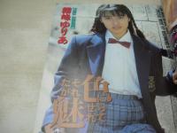 アクションハイスクール増刊　お楽しみ袋　1993年10月15日発行　桃園書房　霧峰ゆりあ 表紙+巻頭グラビア　Bクラスアイドル　ナンパ教祖　T-BACKS　エイベックス・レイヴ93　如月尚子　憂木瞳　高倉みなみ　水島沙織　※画像の様に底部に赤線引き跡出ています。
