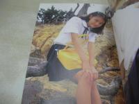 白鳥真奈　日野友理　純愛写真集　ときめきのアンダンテ　VOL.1　プティアミジャパン社　21センチ×15センチサイズ本　※画像の様に裏表紙面にセロテープ糊跡汚れ出ています。