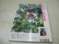 美少女通信　1992年05月01日発行　考友社　川島美優　山本梨香子　朝吹聖奈　早紀麻未　中山みず江　熱撮!ブルマー運動会　三輪愛　柴田めぐみ　浅倉由美　滝沢美穂　倉沢あやね　大友梨奈　松本智恵　岡本沙弥
