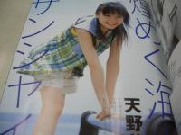 pure2　VOL.31　ピュア☆ピュア　2005年08月15日発行　成海璃子 表紙+巻頭グラビア+ピンナップ　未開封トレカ付　橋本甜歌　飯田里穂　平田薫　天野莉絵　彩月貴央　志保　北乃きい　一木有海　村田ちひろ　川原真琴