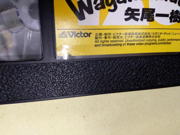 矢尾一樹 Wagamama Vhsビデオ 矢尾一樹 横山智佐 ミンキー ヤス他 海星堂書店 北店 古本 中古本 古書籍の通販は 日本の古本屋 日本の古本屋