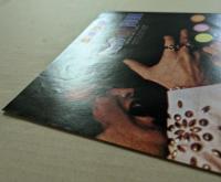 エルビス・オン・ツアー　映画チラシ　二つ折り　テアトル東京 座席表　初版