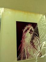 大場久美子　直筆サイン入り　特別記念製作　想い出のアルバム 1979 MEMORY OF KUMIKO