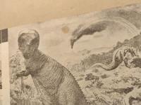 モスラ 対 ゴジラ　映画パンフレット